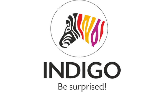 Indigo Paint